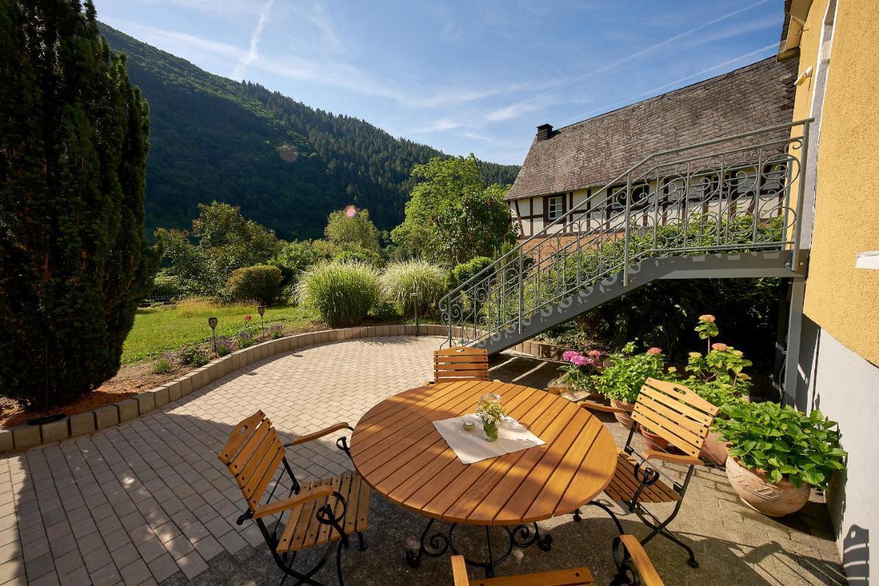 Villa Moselle Трабен-Трарбах Экстерьер фото